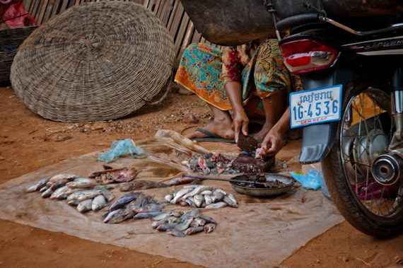 Curried Frog's Legs - Recipes - The Intrepid Eater